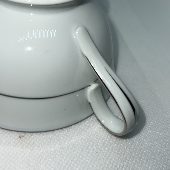 RC TEACUP & SAUCER VINTAGE 1960s PATTERN NORITAKE 564 VICTORIAN ROSES AND LAUREL - Picture 9 of 12